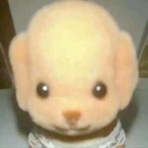 Meet your Posher, Grace